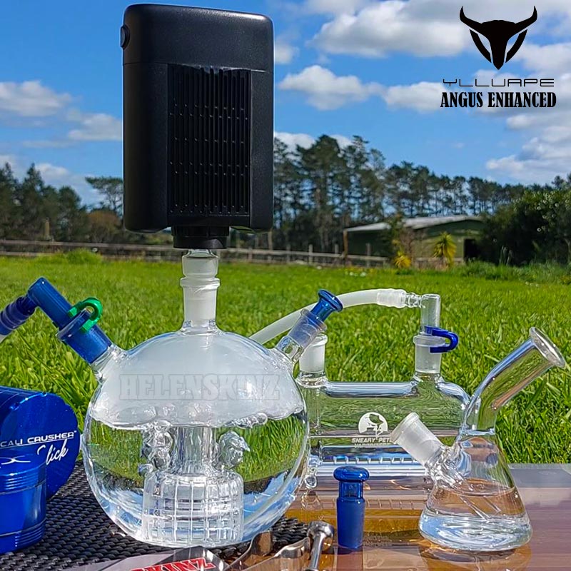 Angus Enhanced Vape with Bong Helenskinz NZ