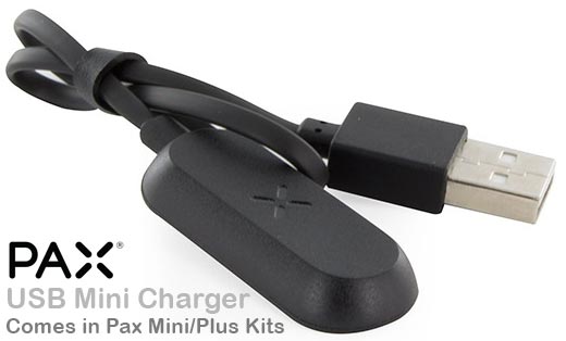 Pax Mini Charger NZ - Helenskinz